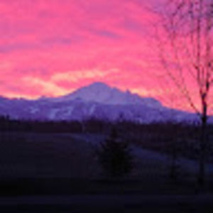 Meet your Posher, Lindsay